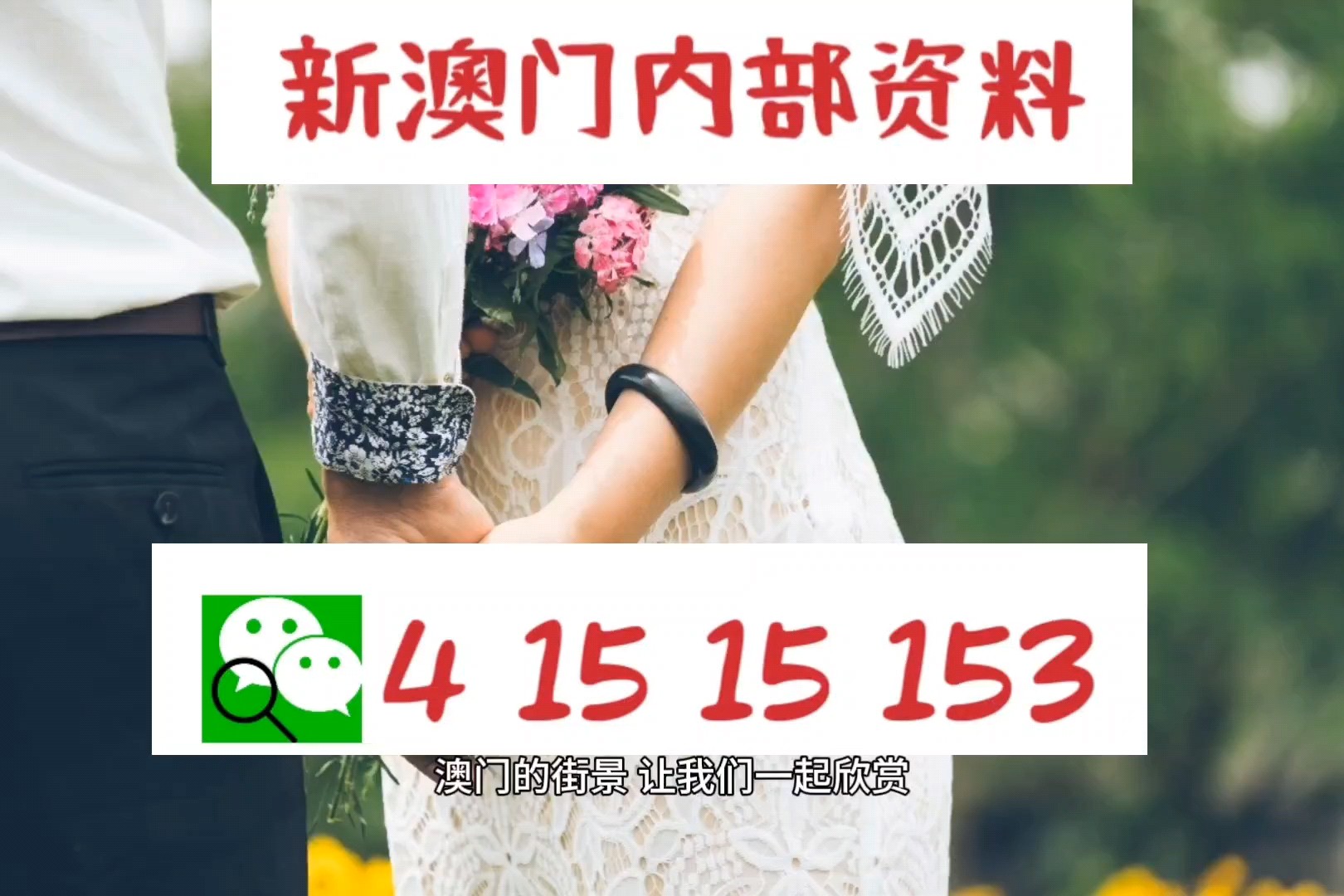 澳门正版资料免费大全，精准信息，安全无忧的娱乐选择
