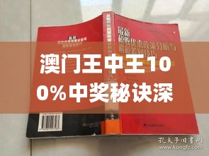 2048年新澳门王中王的神秘面纱，揭秘与展望
