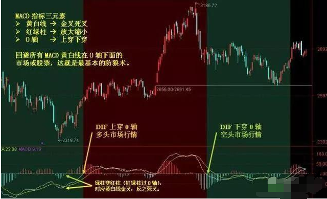 澳门一肖必中，揭秘背后的数字与概率