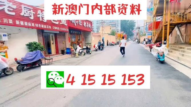 澳门彩市新纪元，204年天天开好澳