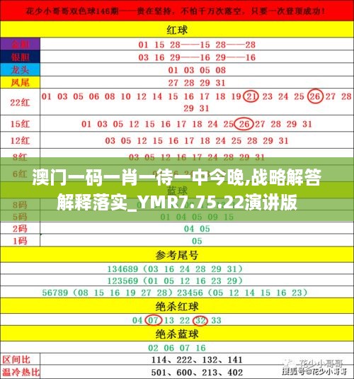 探索期四肖选一的奥秘，理性与直觉并行的投注策略