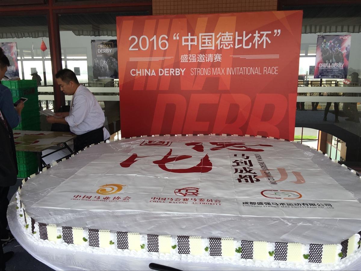 探索香港正版马会精选资料大全，揭秘赛马的智慧与激情