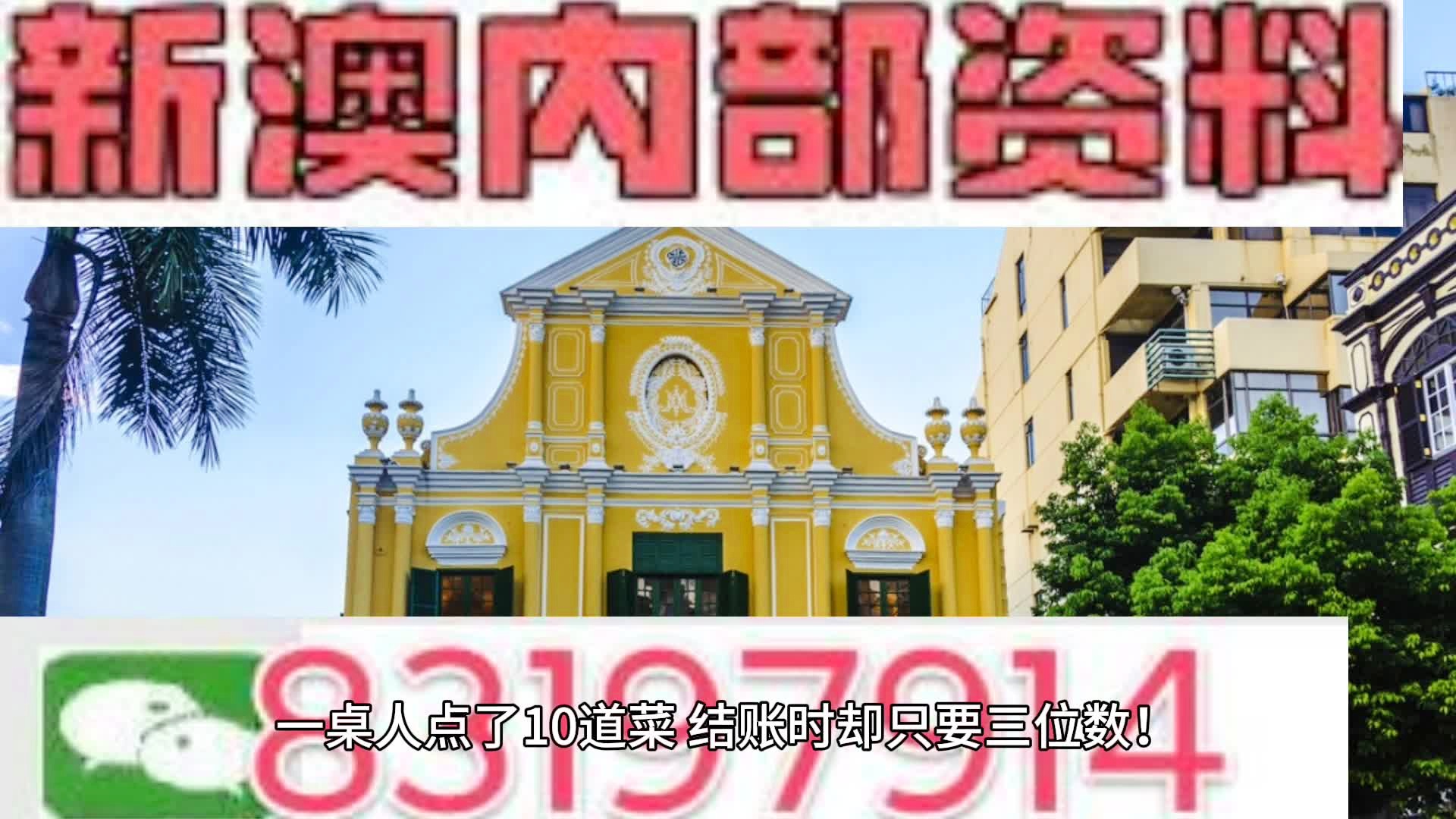 204年澳门正版精准资料，揭秘与警示
