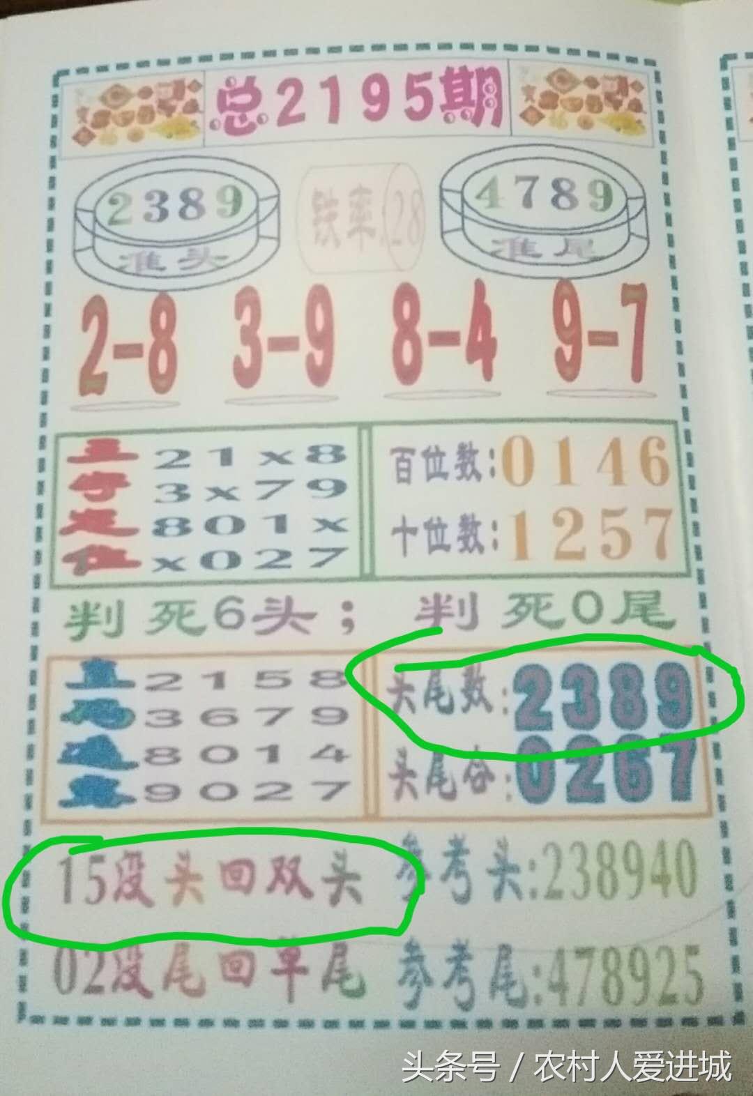 揭秘四肖选一，精准预测中特特的奥秘