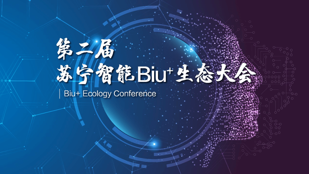 二肖与两码的智慧结晶—长期免费公开分享的价值探索