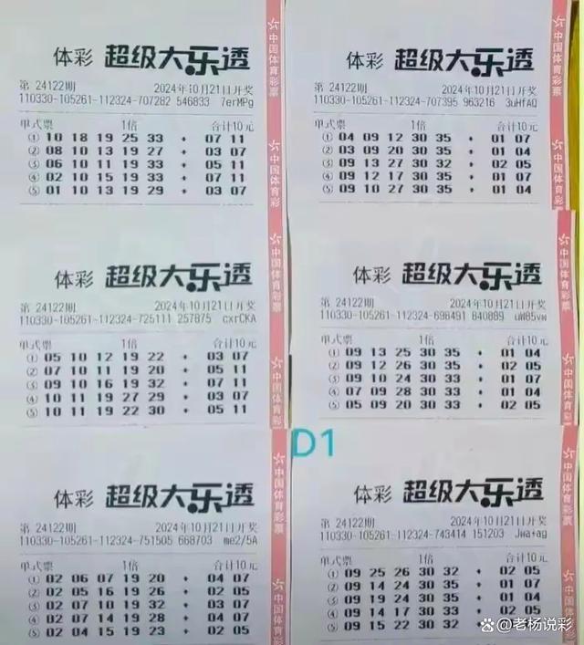 2046新澳门天天开好彩大全，正版指南与理性投注的智慧