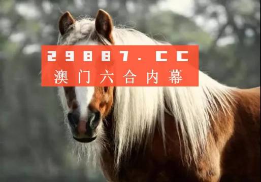 澳门今晚必中一码的迷思与理性分析