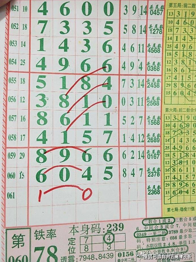 探索2肖3码的奥秘，解锁数字游戏的智慧与策略
