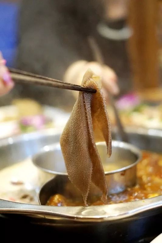 揭秘49-澳门资料大全，一个数字背后的真相与警示