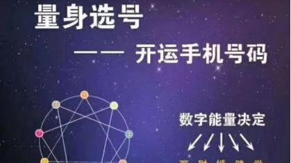 肖3码，解锁数字背后的神秘力量