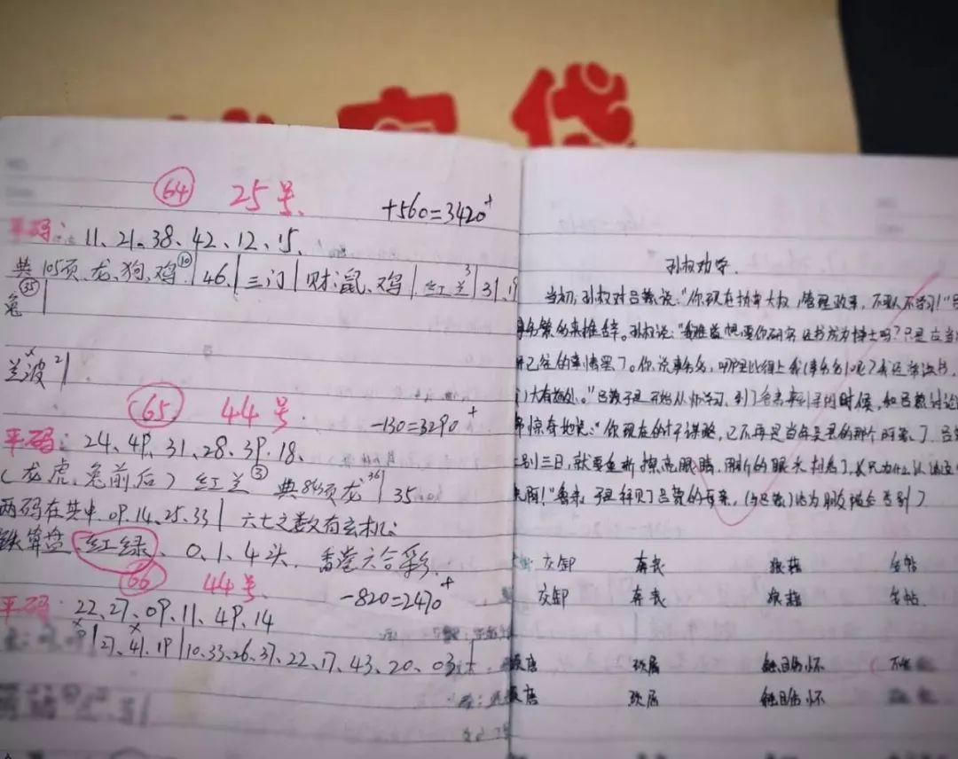 揭秘六开彩，数字背后的幸运与理性