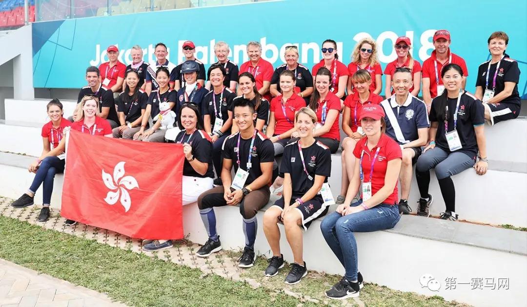 2019年香港马会内部免费资料，揭秘与解读
