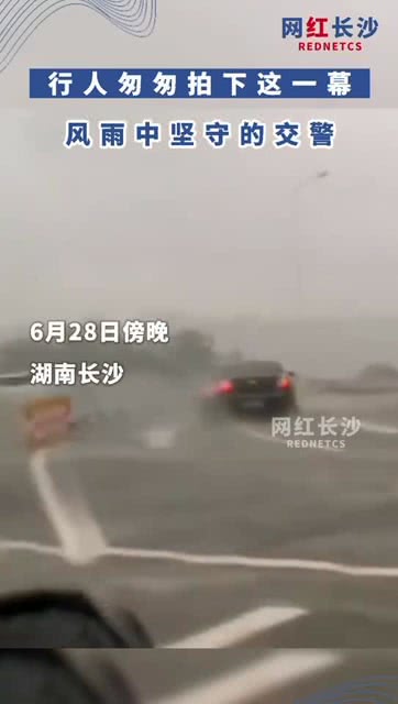 东方时尚驾校，风雨中的坚守与未来展望—知乎热议背后的真相揭秘