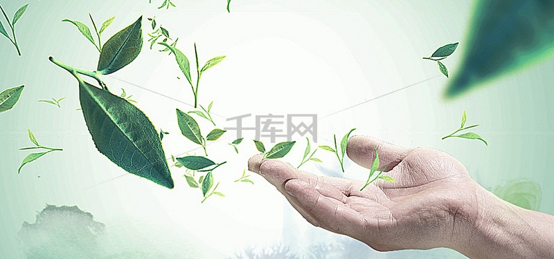 东方树叶广告视频，自然之韵，茶香四溢的视觉盛宴