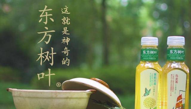 东方树叶的多样风味，探索茶饮文化的微妙差异