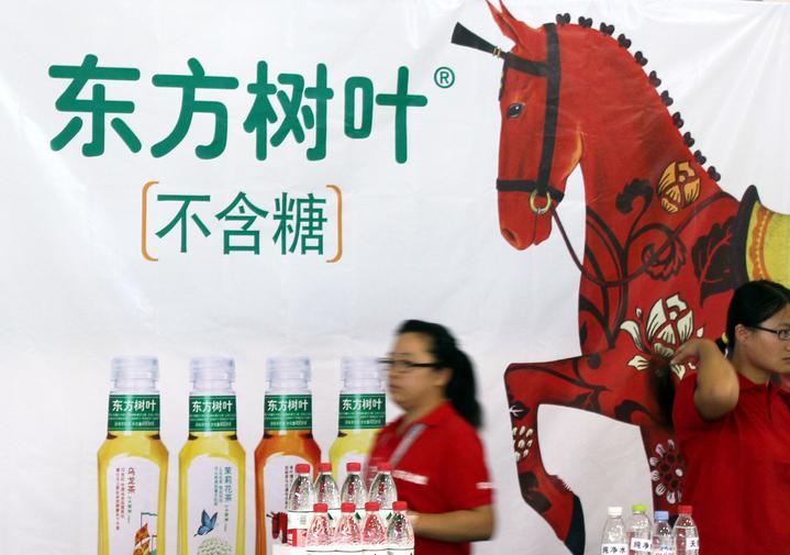 东方树叶的寓意，自然之韵与文化深意的交织