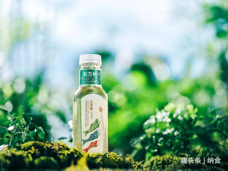 东方树叶，文化与自然的和谐共生