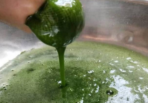 东方树叶，解渴新选择，健康不增重