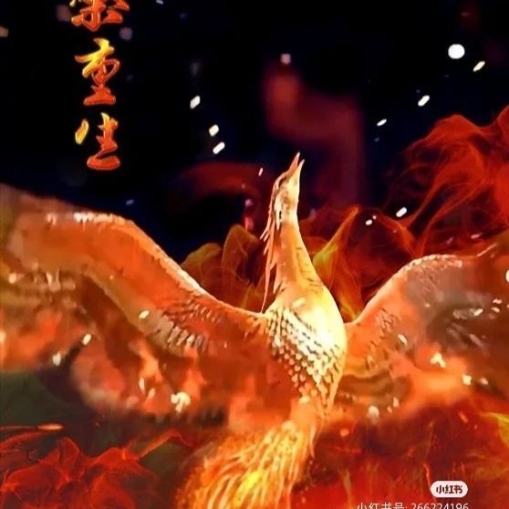 东方清仓，业火之后，重生的辉煌