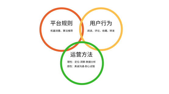 实时掌握市场脉动，龙虎榜数据的深度解析与实战应用