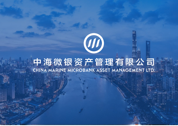 东方锆业，2035愿景下的稳健前行—以目标价为视角的深度解析