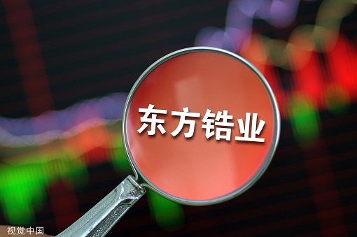 东方锆业，行业龙头的崛起与挑战