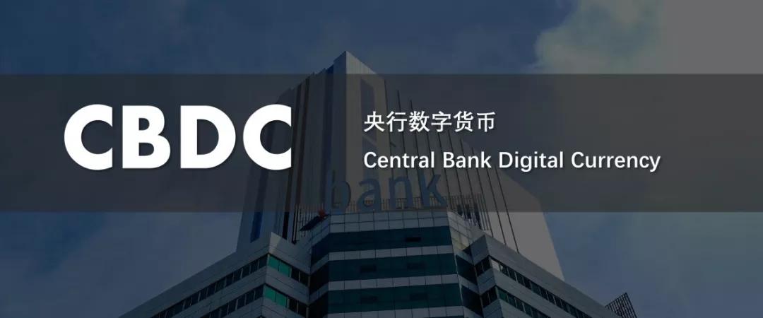 探索中国货币网官网，洞悉金融市场的数字脉搏