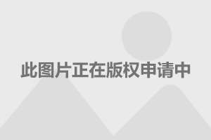 探索安国中药材天地网，传统与现代的完美融合