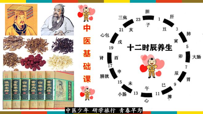 探索中国中药材的奥秘，揭秘药香网—一个集知识、交易与文化于一体的数字平台