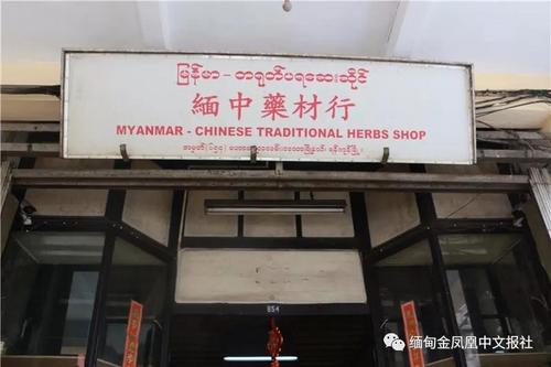 探索中药材批发新天地，揭秘XX中药材网官网的独特魅力