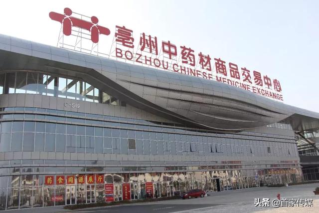 亳州药通网，中药材信息的枢纽与桥梁