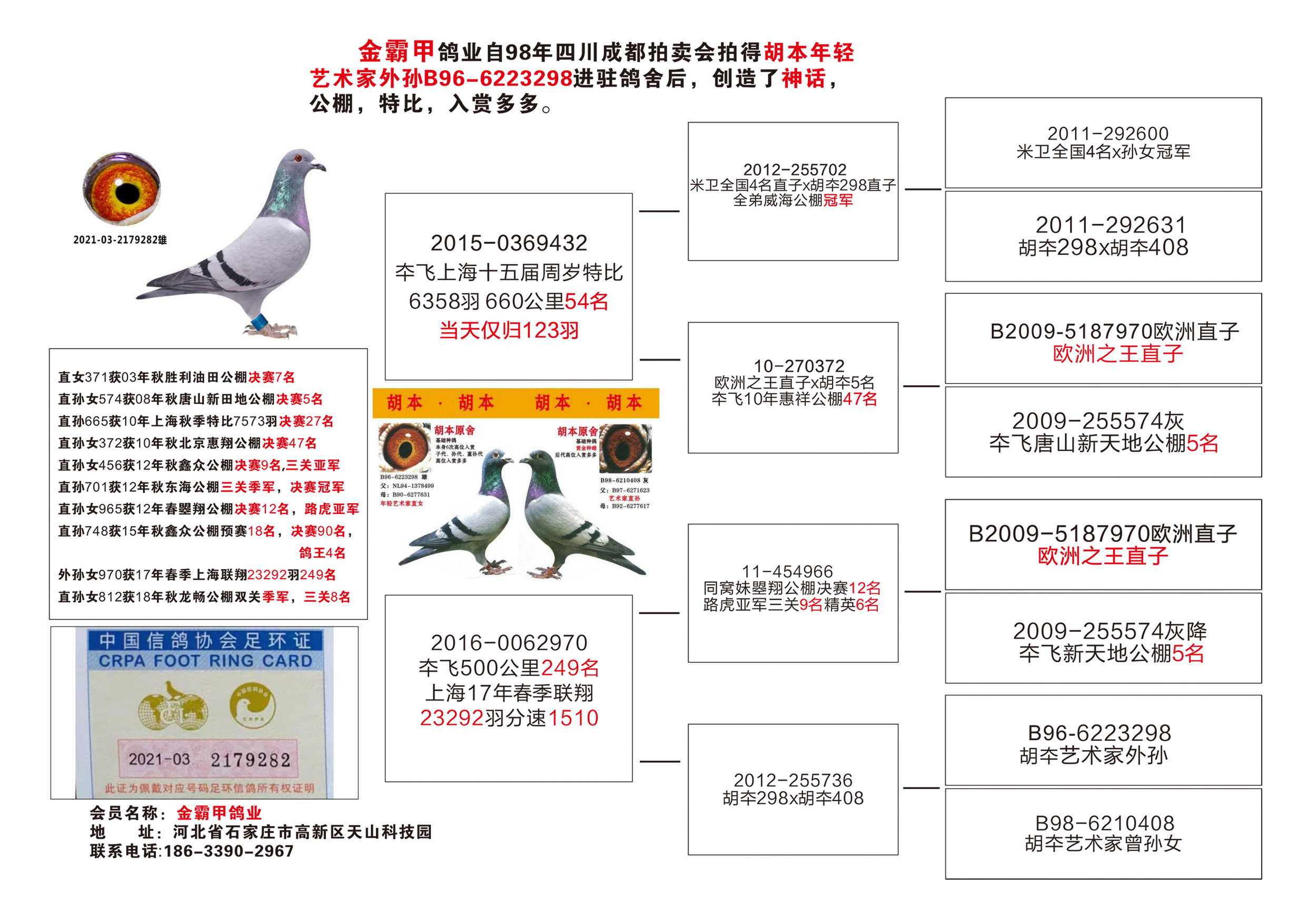 2025年6月3日 第7页