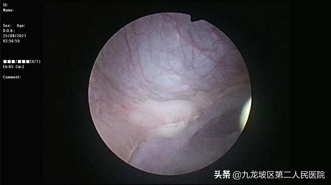 检测仪器，现代工业与科研的火眼金睛
