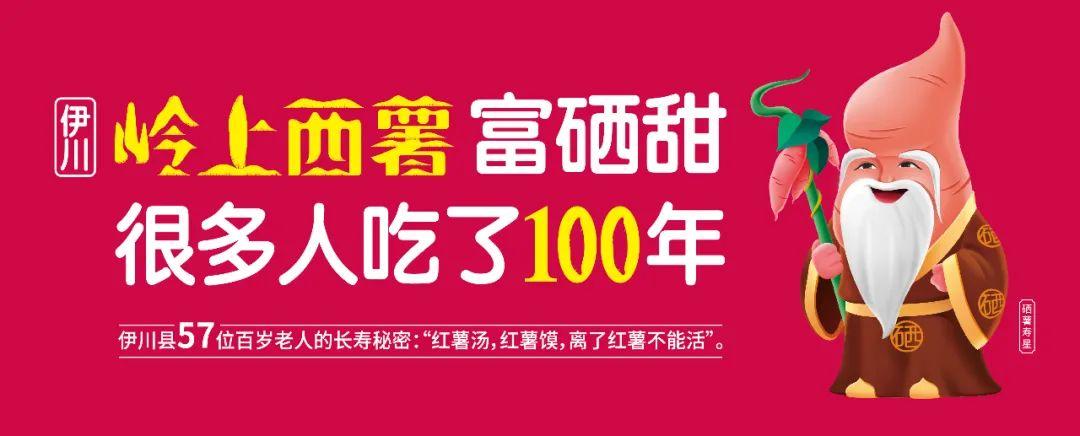 伊川县最新招聘信息网—开启职场新篇章的智慧之门