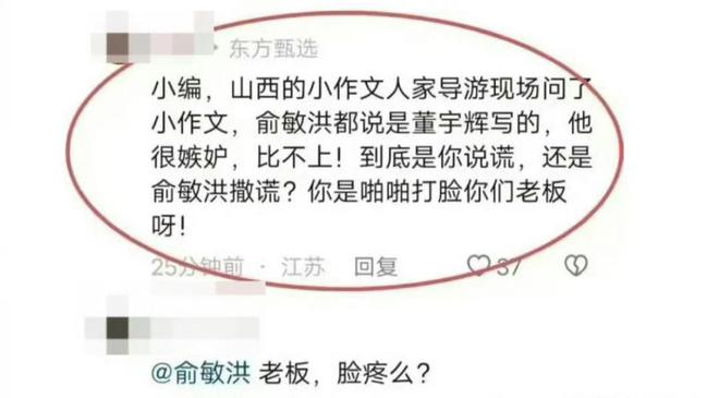 东方甄选董宇辉，年薪背后的故事与启示