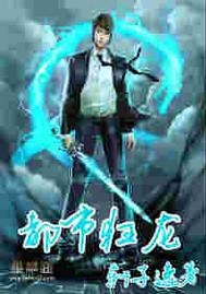 穿越时空的兵王，九皇子之谜