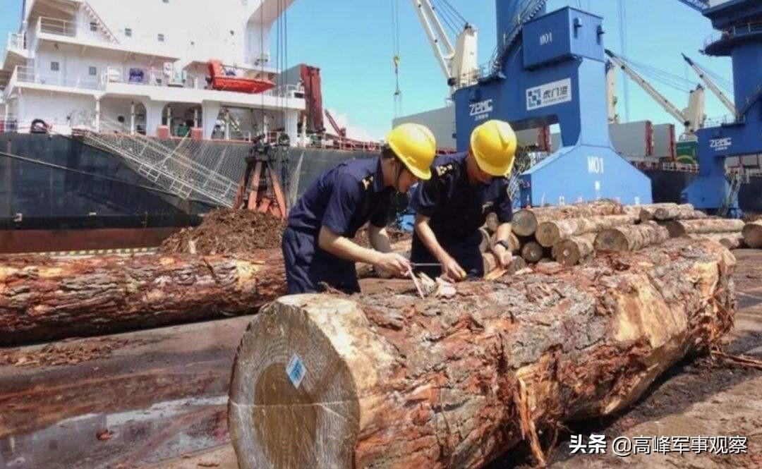 海关清关查询，全程解析与实用指南
