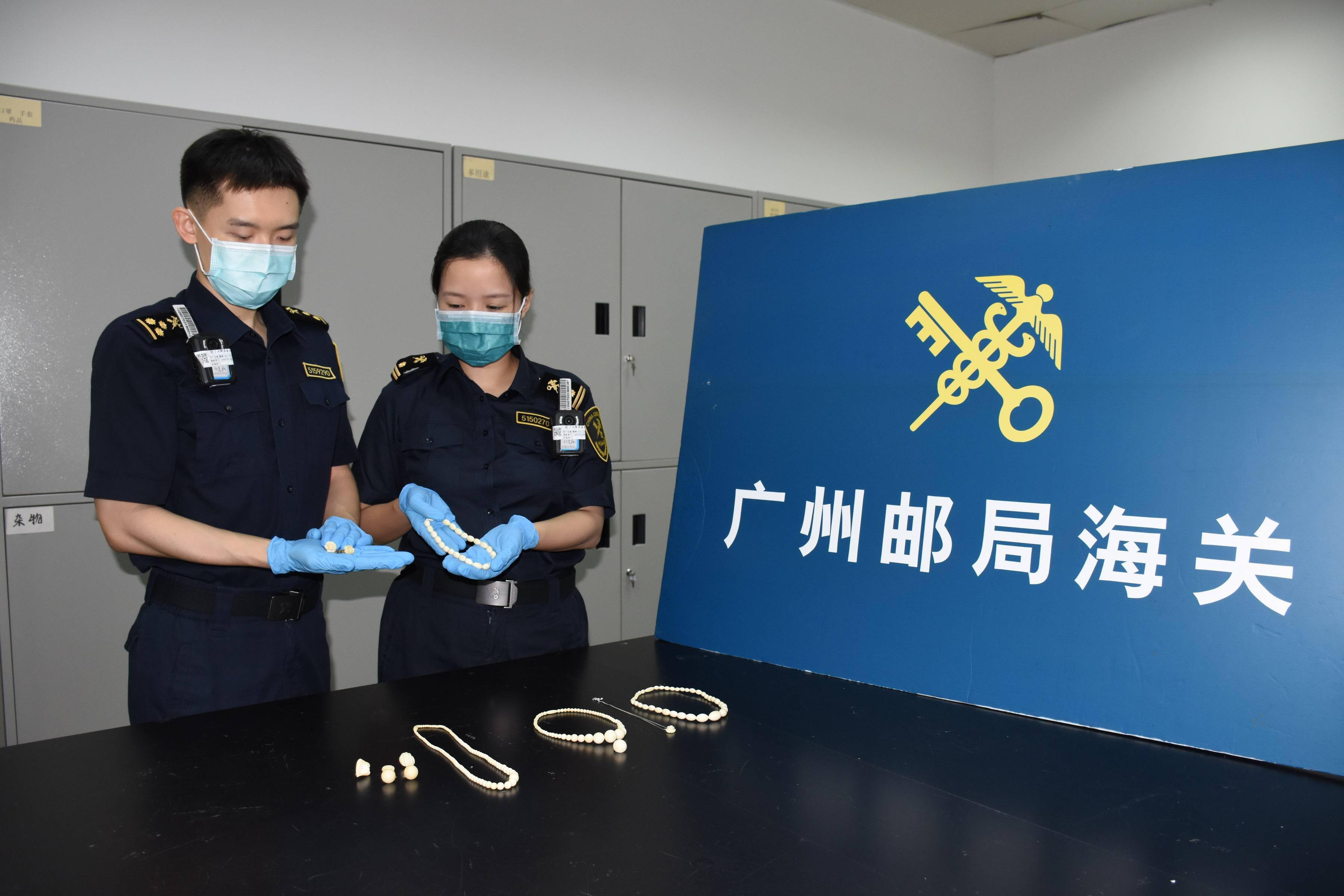 广州海关邮件查询，便捷、高效与透明的全新体验