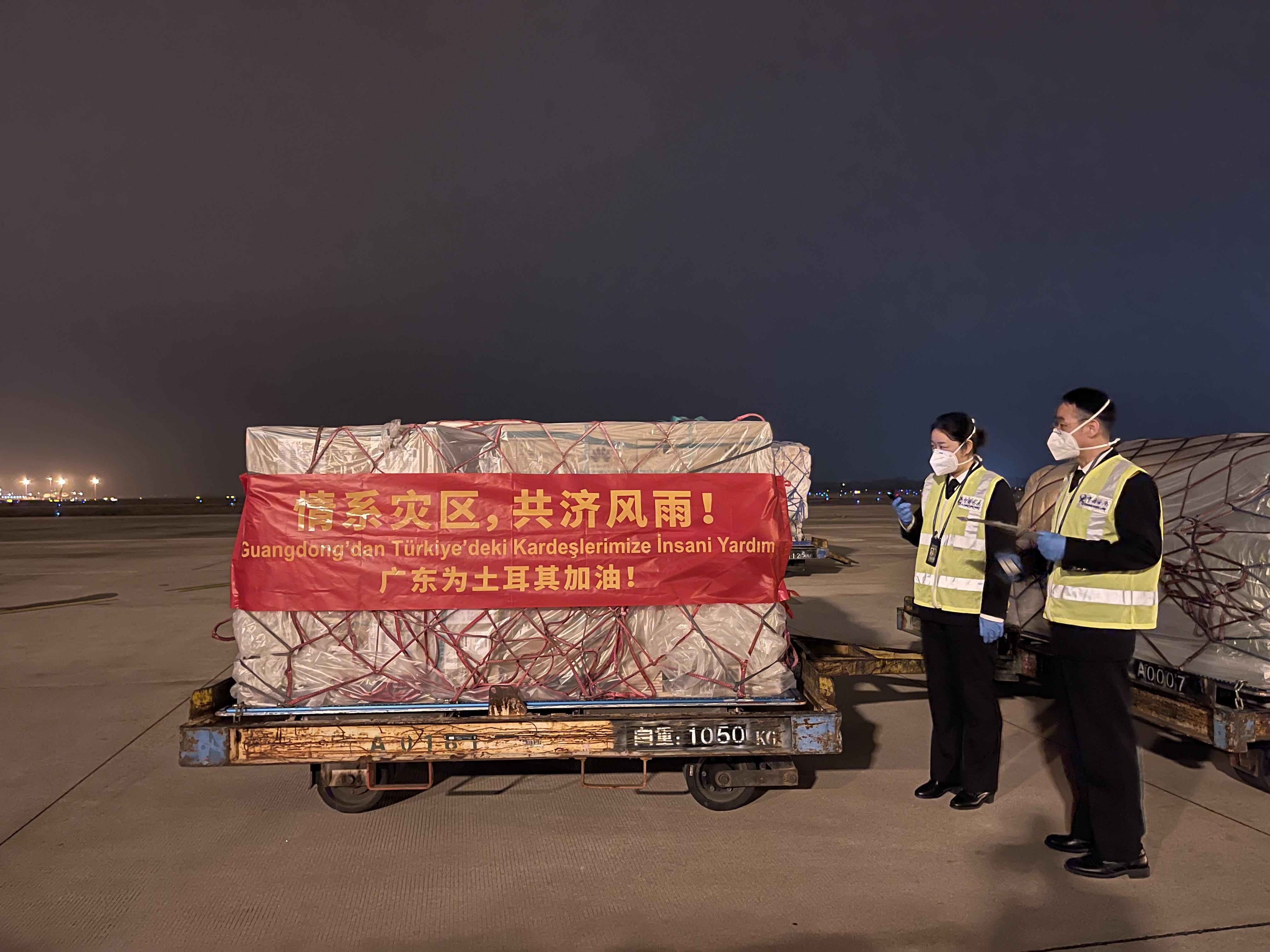 海关官网查询系统，便捷、高效与安全的通关助手