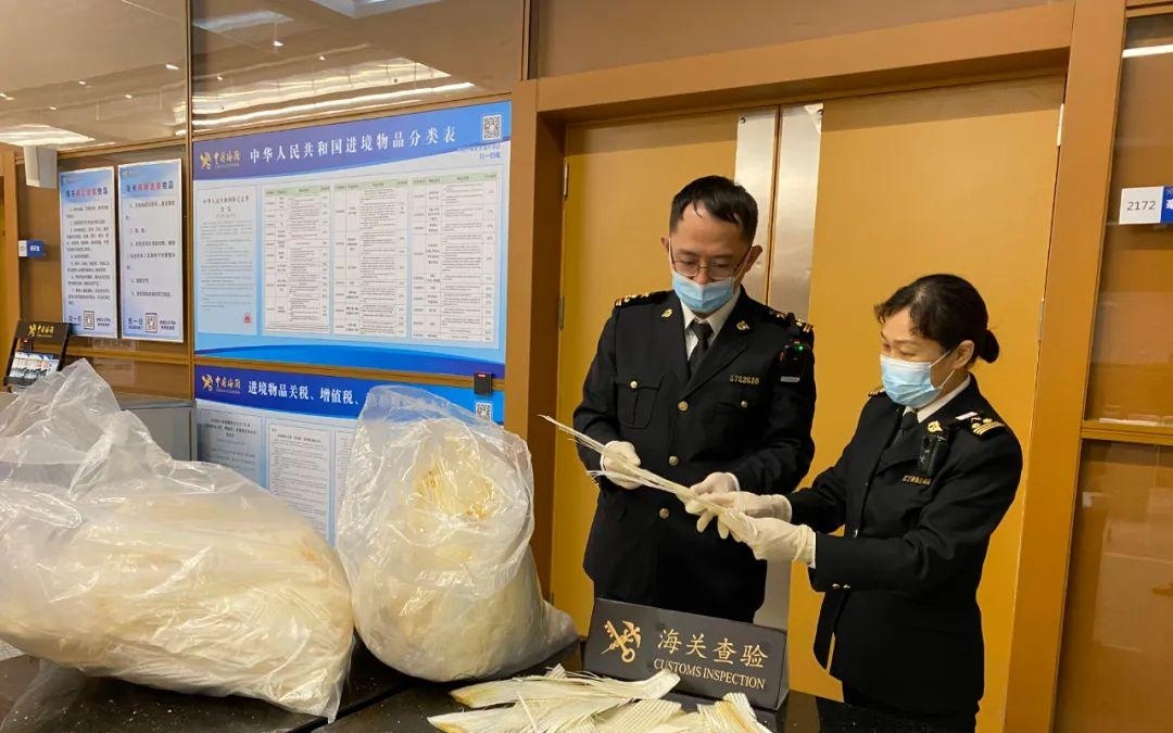 探索中国海关进口货物查询的便捷之道