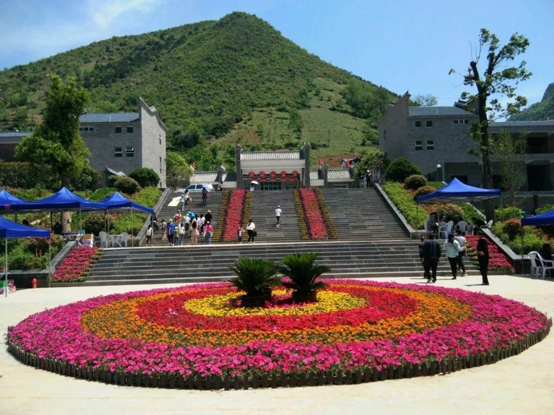 203年湖北招生信息网，一站式了解最新高校招考动态