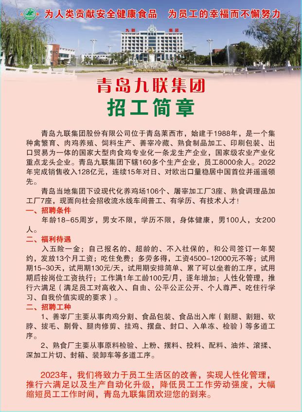 青岛胶南信息港，最新招聘信息网深度解析