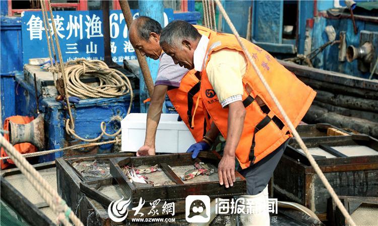 莱州信息港，免费发布，让生活更便捷
