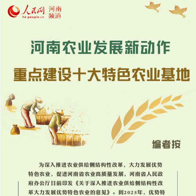 河南饲料行业信息网，推动区域农业发展的新引擎