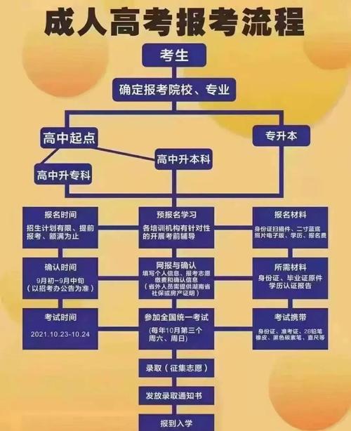 本科报名指南,从准备到成功的全面解析