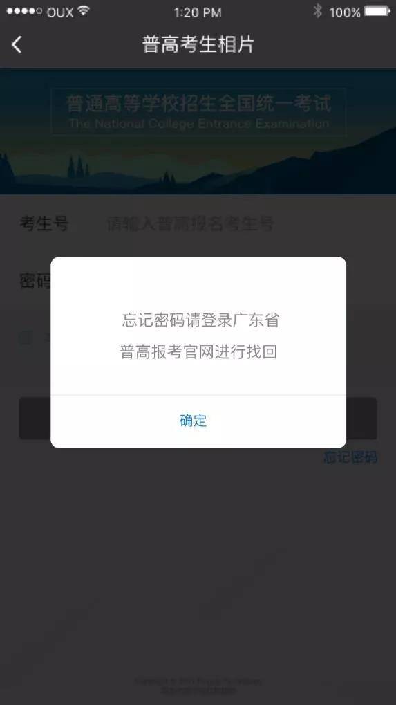 招生信息网密码忘了怎么办，快速找回与安全防护指南
