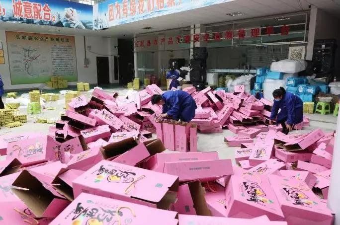 山东鸡蛋信息网，连接农户与市场的智慧桥梁