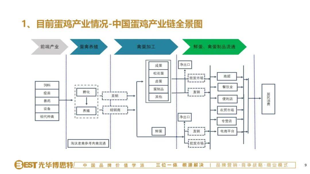 探索中国鸡蛋市场的智慧之窗—解析中国鸡蛋信息网的独特价值与影响