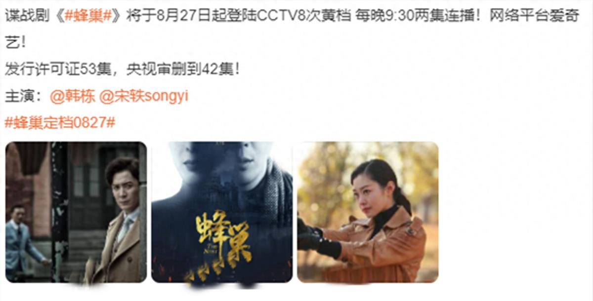 蜂巢,一部剧集的演员阵容与艺术魅力