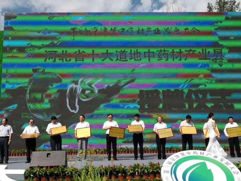 陪我百岁 第10页